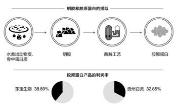 东宝生物“躺枪”:胶原蛋白“气球吹破”?