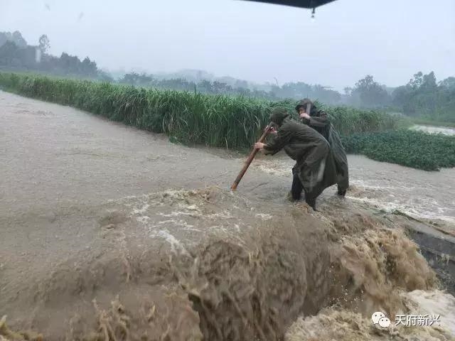 暴雨再袭——他们风雨无阻,奋力捍卫新兴的“岁月静好”