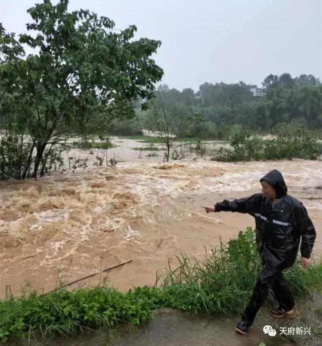 暴雨再袭——他们风雨无阻,奋力捍卫新兴的“岁月静好”