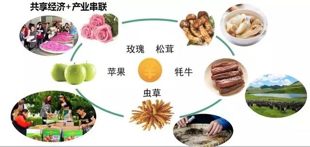 聚焦新模式 探索新路径 省级乡村旅游扶贫工作交流会在新津召开