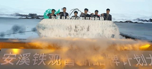 拼多多"新品牌计划"深入茶产业带：首站安溪铁观音，将打造国民普惠好茶