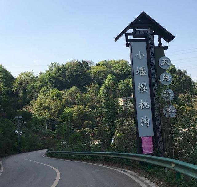 太平樱桃红了,吃货们,快去尝鲜吧!