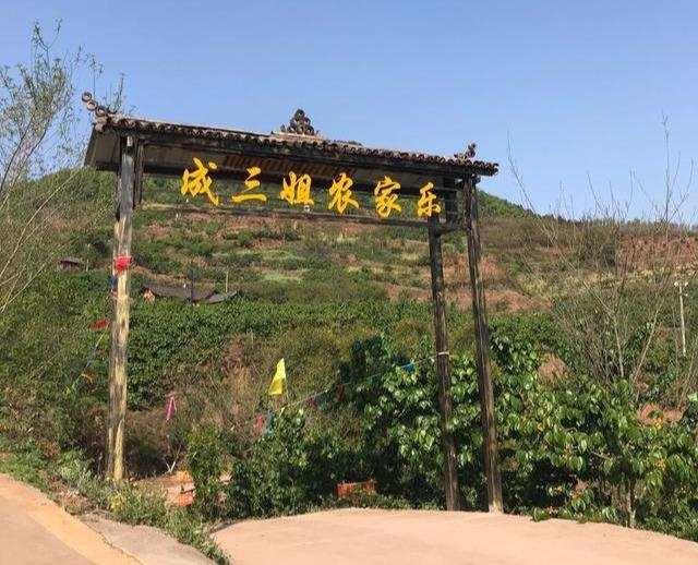太平樱桃红了,吃货们,快去尝鲜吧!